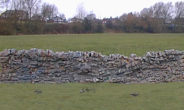 DRY STONE WALL 3-PACK O