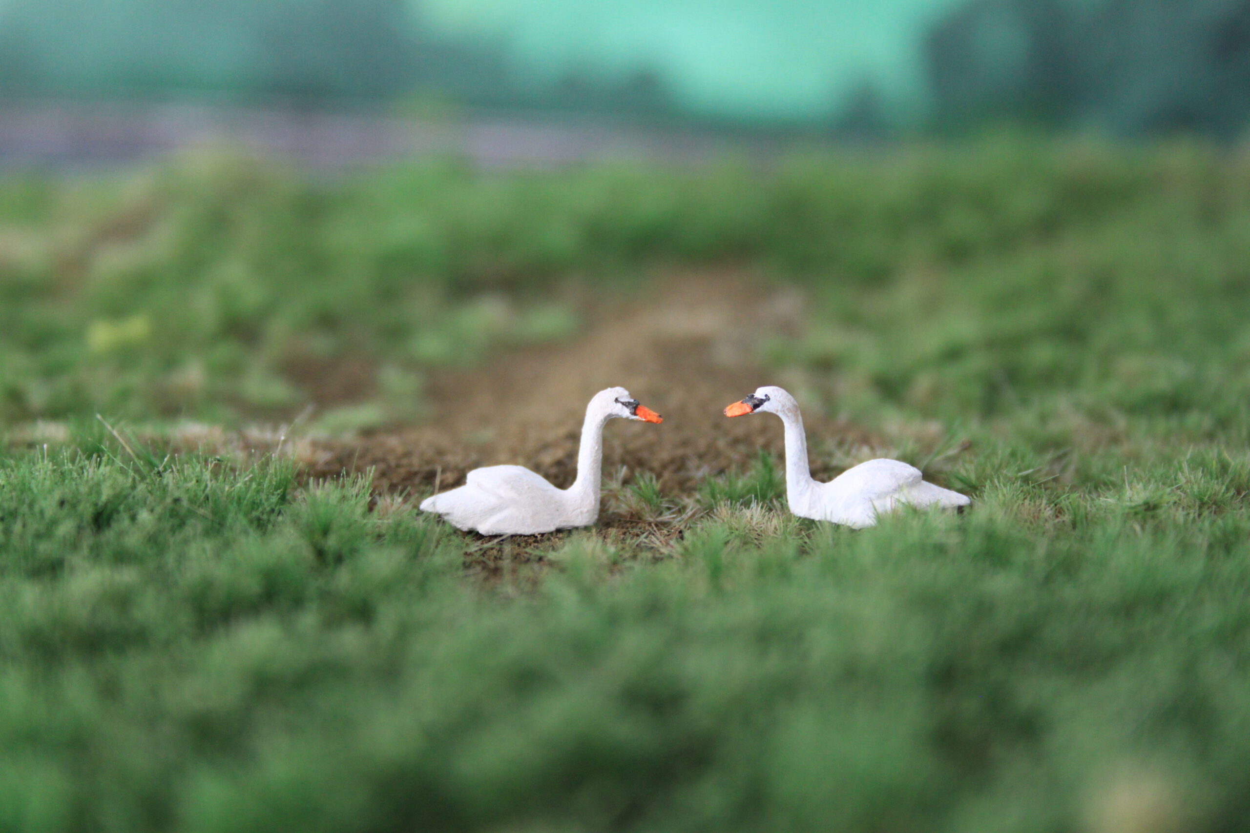 SWANS X 2 OO - Image 3